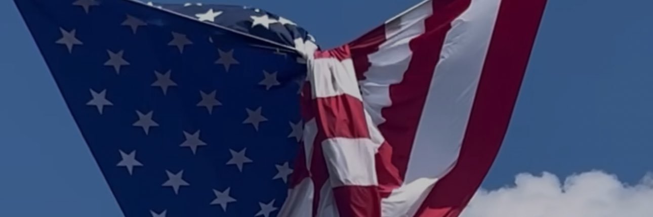 vttraut's profile banner image