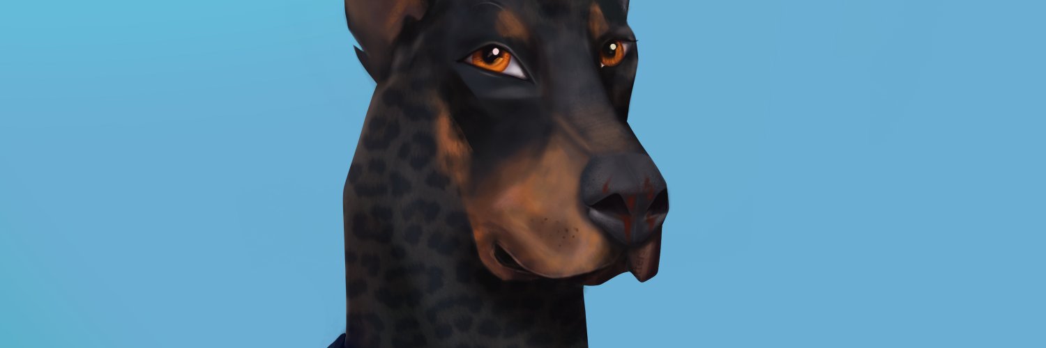 chavez johnnatan banner