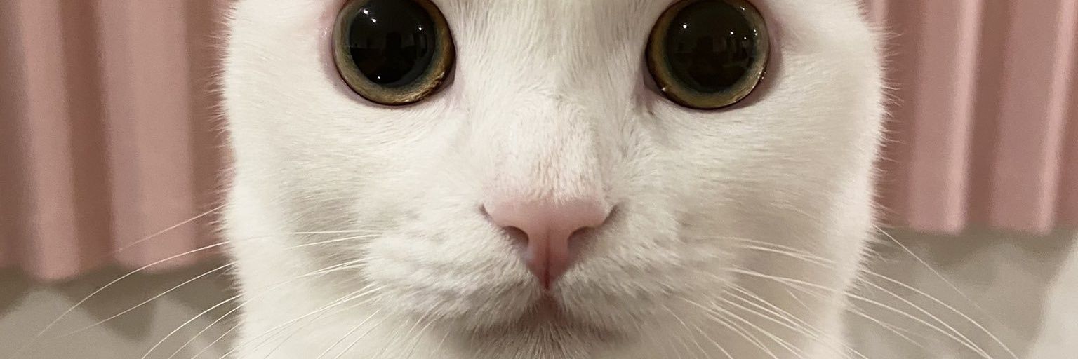 ItsWeaselHours banner