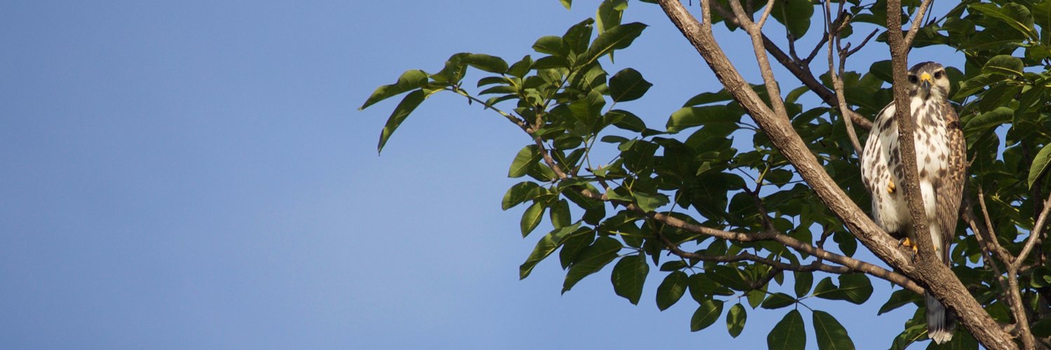 RikrdoEscobarN's profile banner image