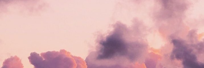 MichelleTrybjer's profile banner image
