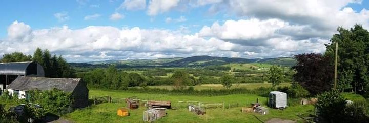 Leonora King RN 💙 banner