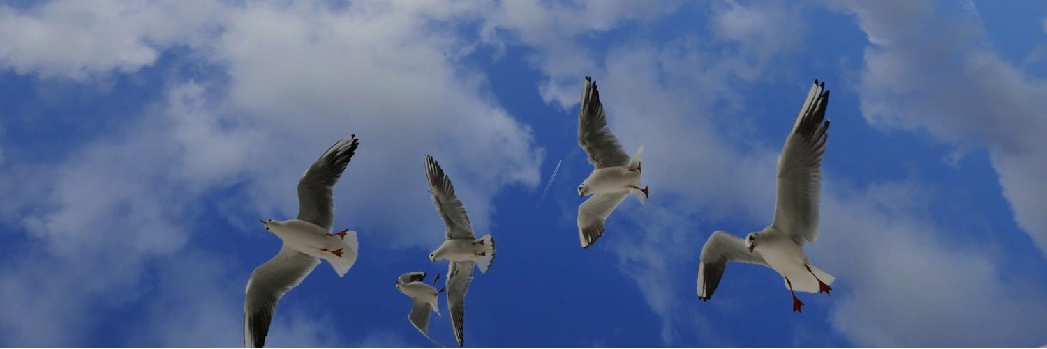 Angela Demetriou banner