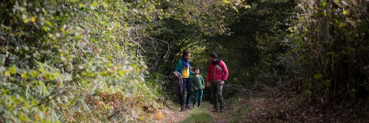 Parc du Morvan banner