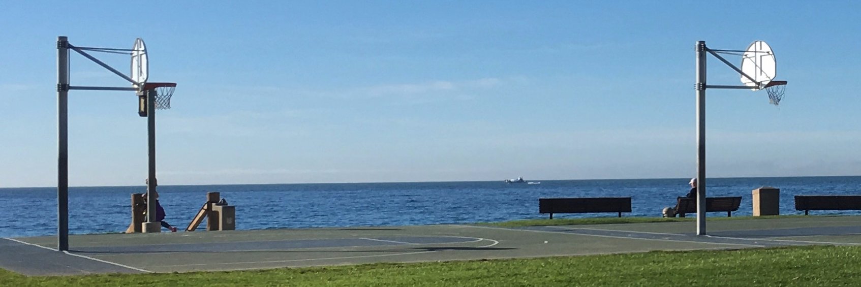 scott shepherd banner