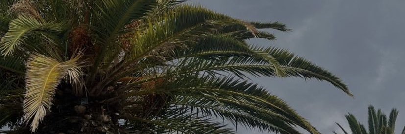 mmmmart_'s profile banner image