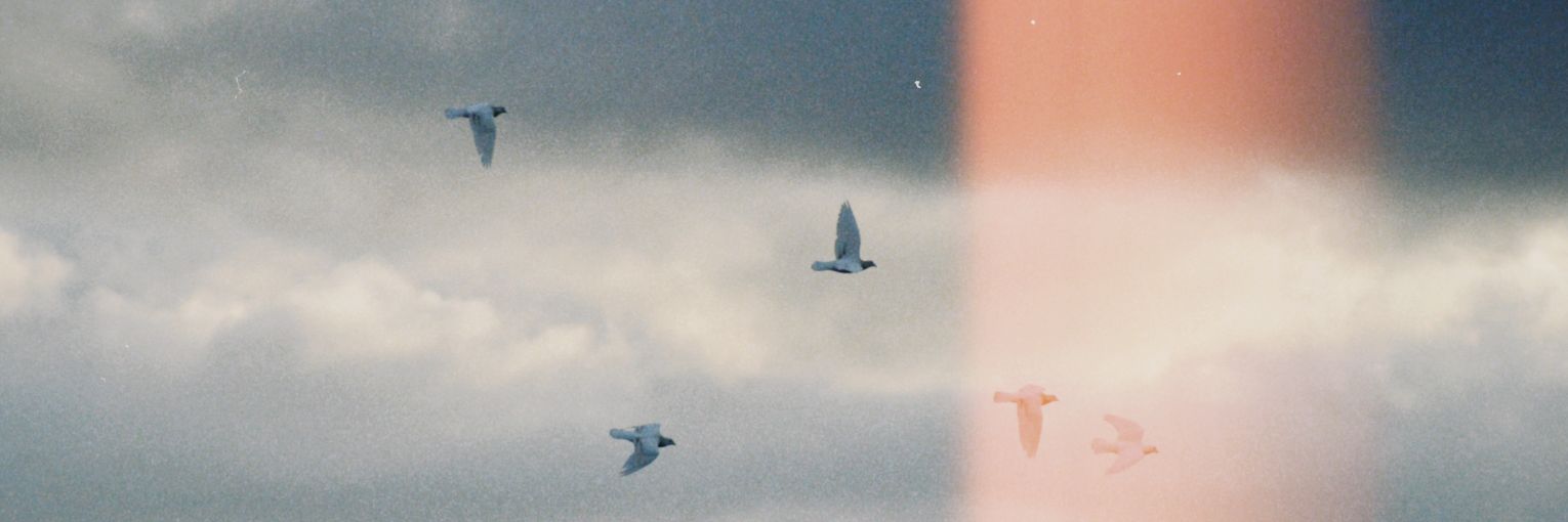 rexapin_'s profile banner image