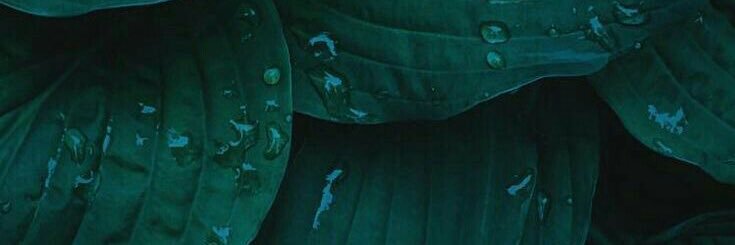 chapadelnorte's profile banner image