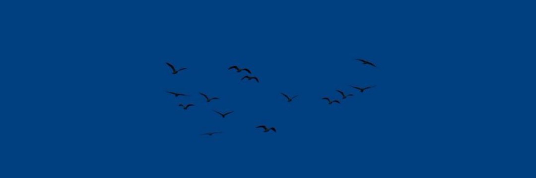 90i1i_'s profile banner image