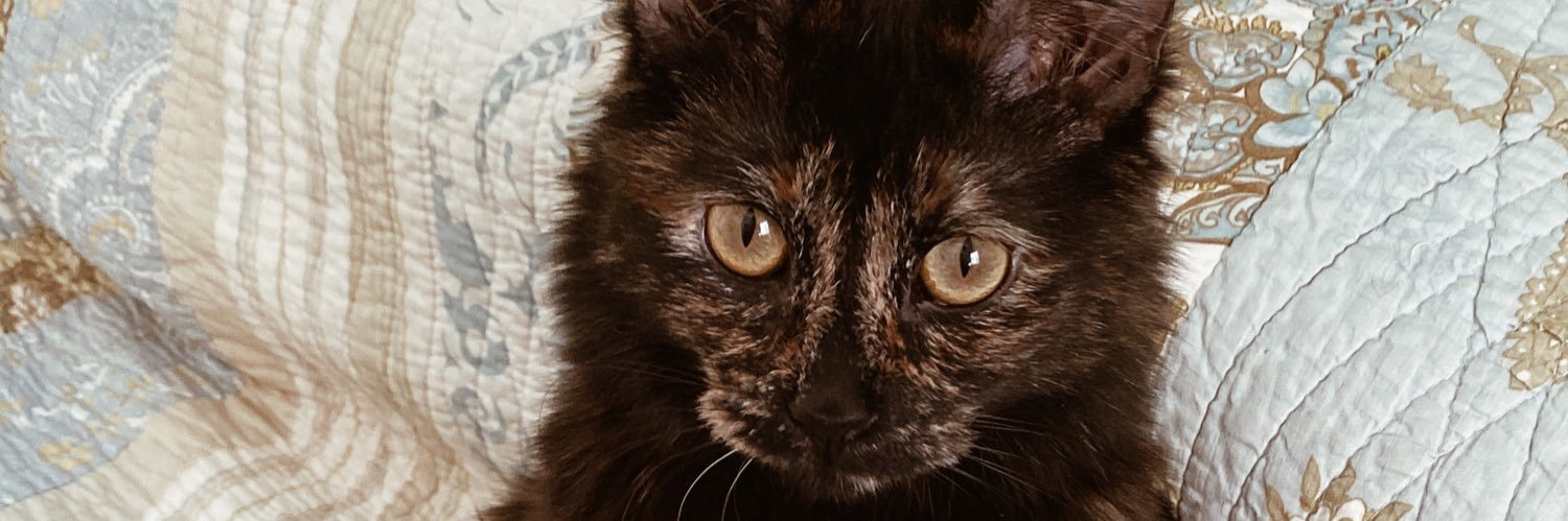 PazSabella's profile banner image