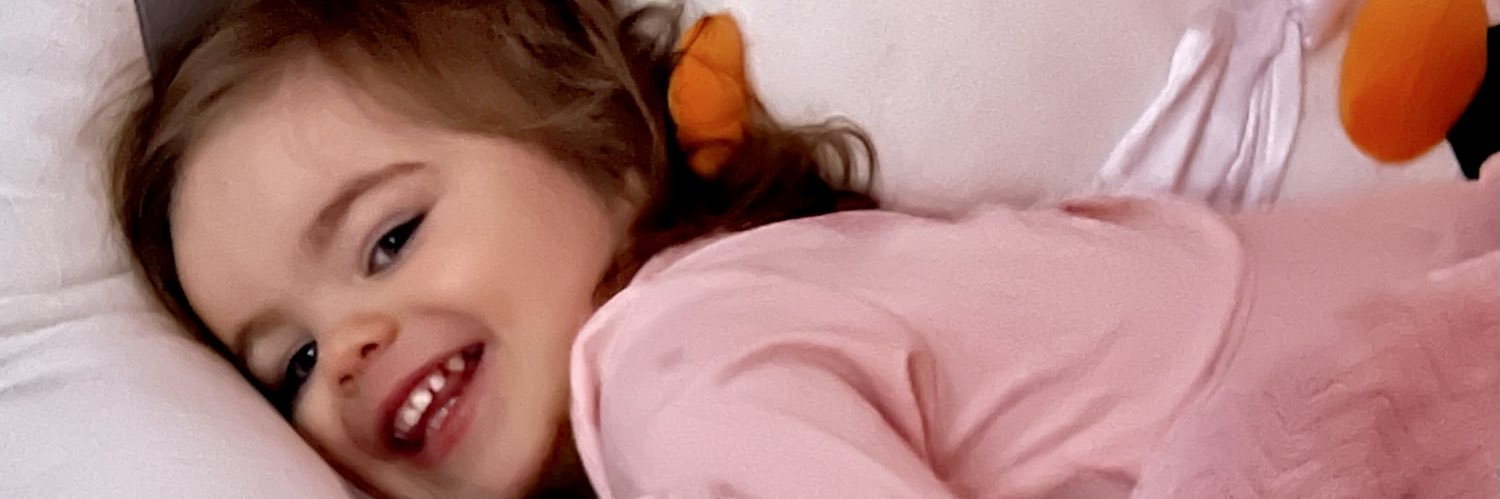 AlainaKitten's profile banner image