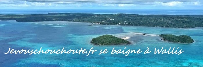 Je Vous Chouchoute banner
