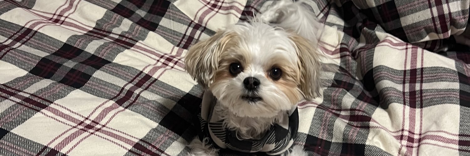 Poppy M banner