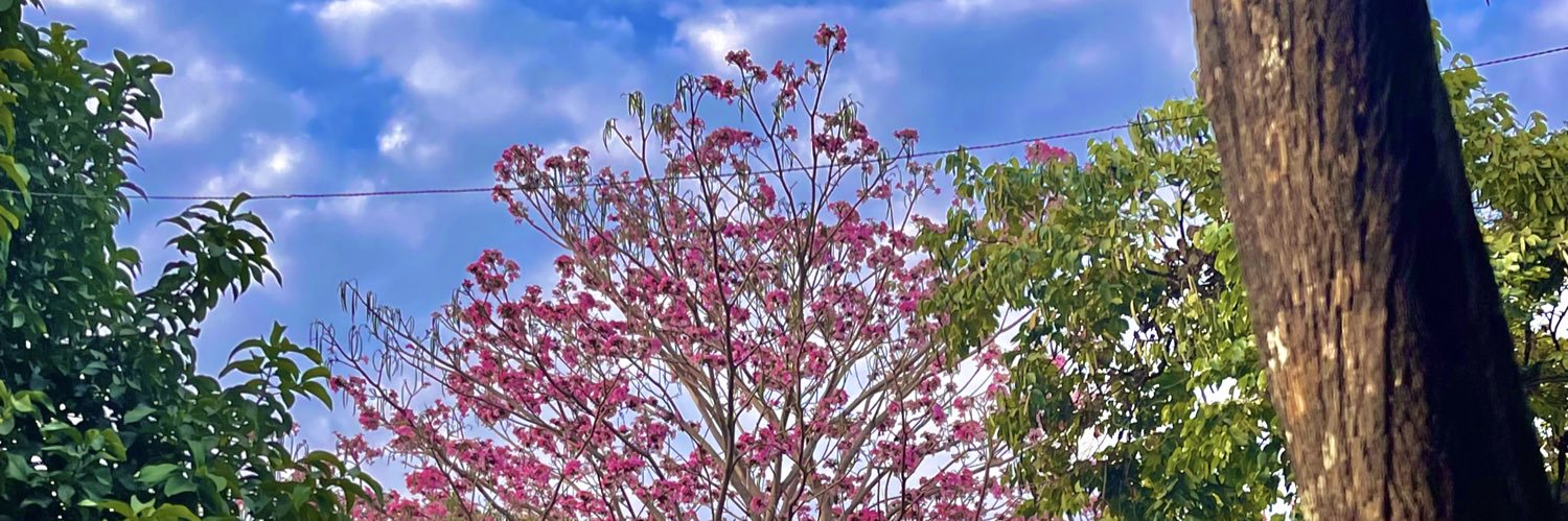 ANDREIPAOLA1's profile banner image