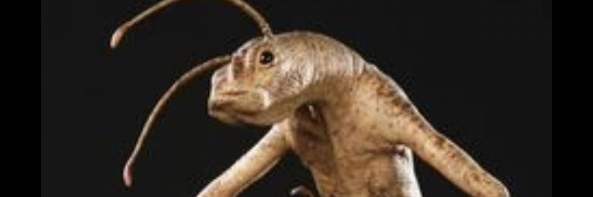 YourPalMalHal's profile banner image
