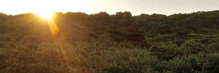 MasaMdima's profile banner image