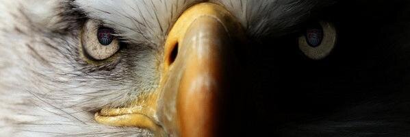 bookofjoec's profile banner image