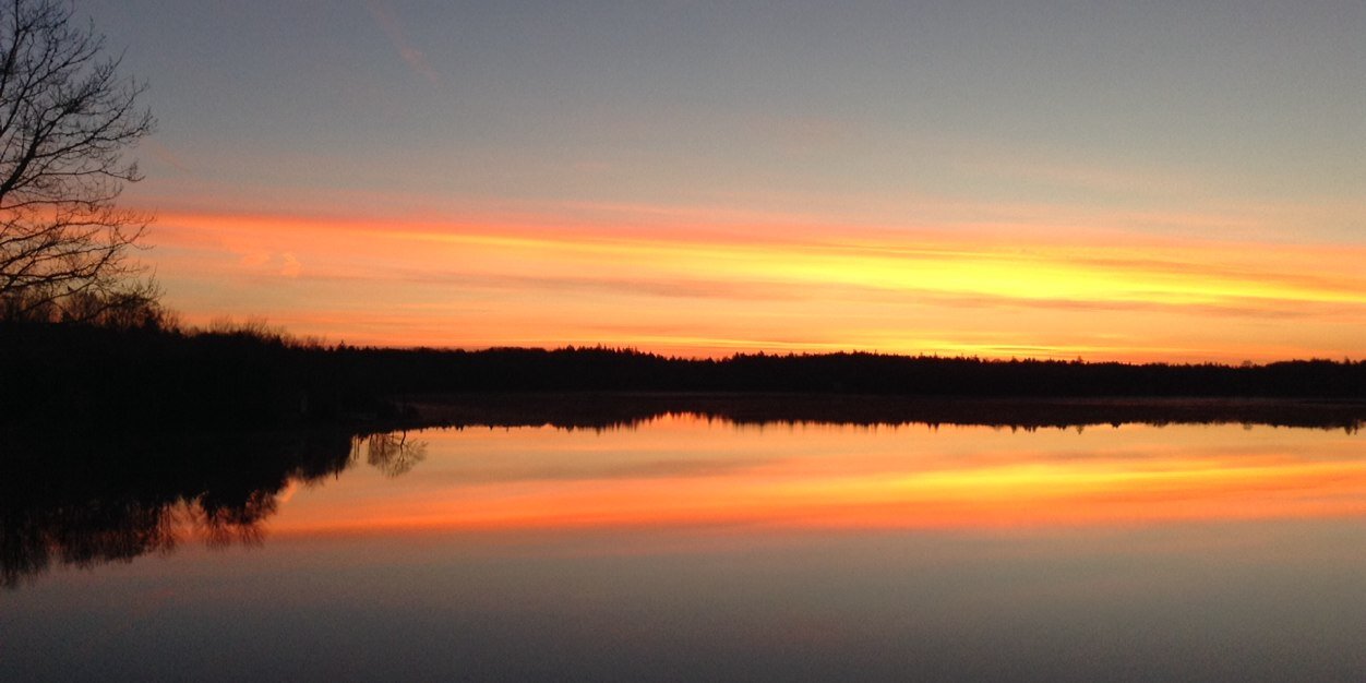 LianneMelanson's profile banner image