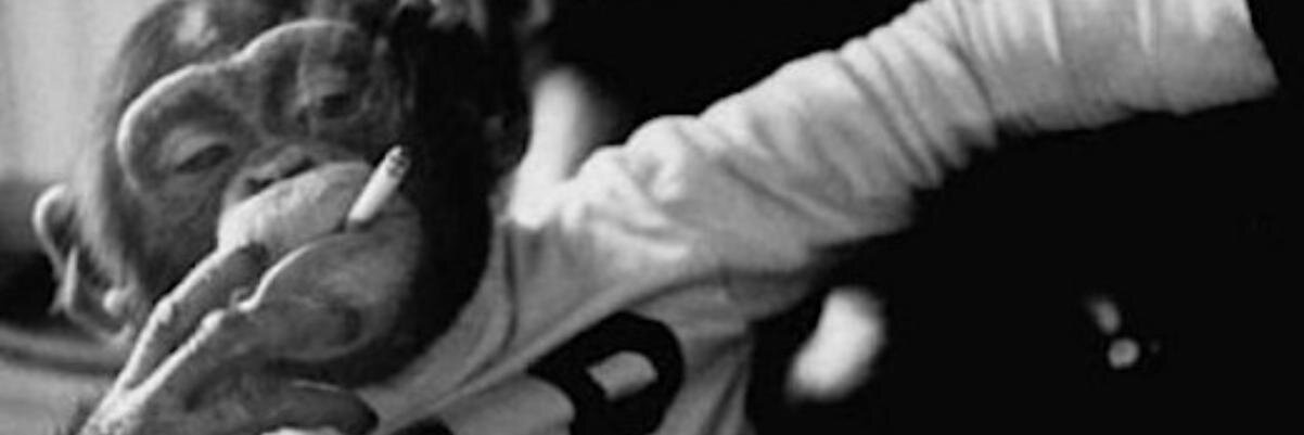 _ElCanalla_'s profile banner image