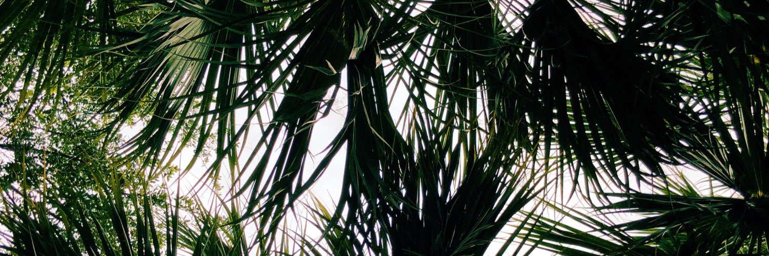 caseeeeeyyy's profile banner image