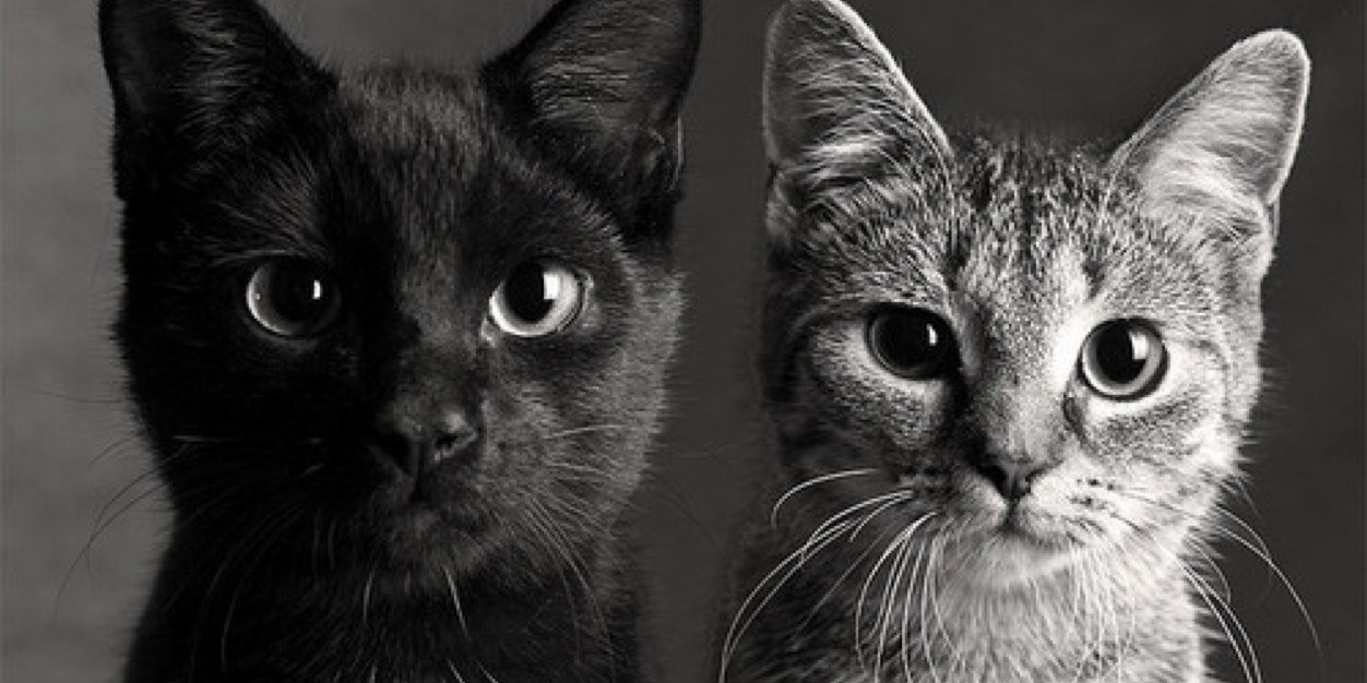 staay_positive's profile banner image