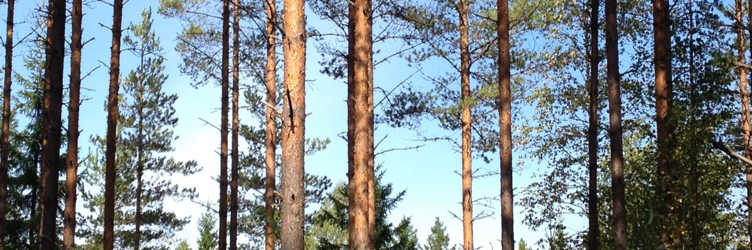 aksentjev's profile banner image