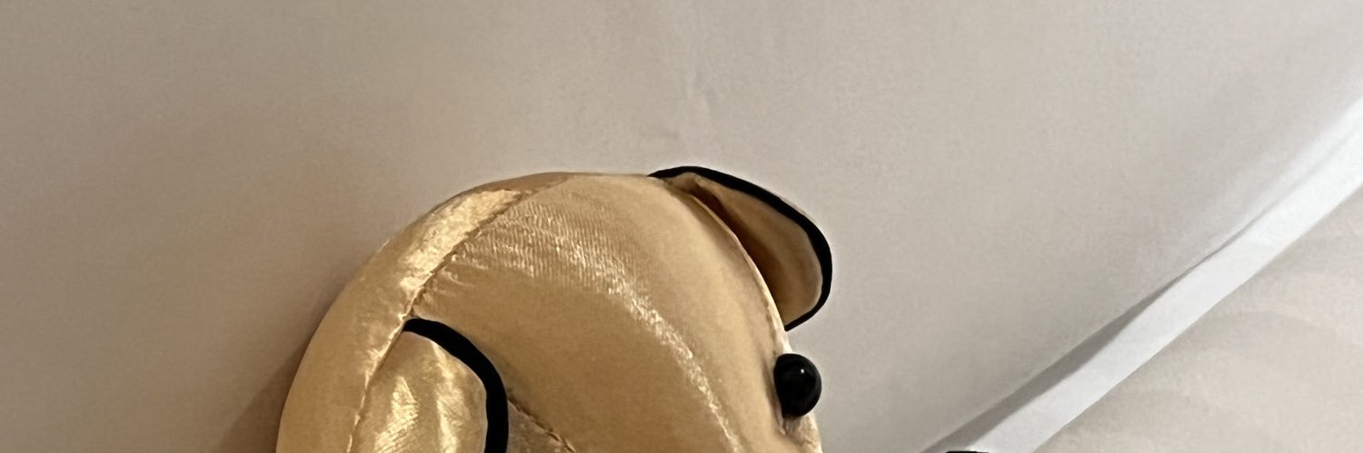 imnotxiaoshi's profile banner image