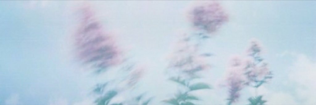awkwardlycas's profile banner image