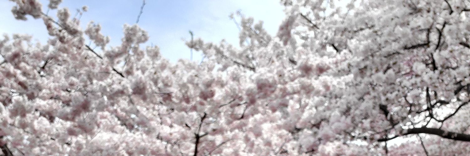 Di_Vaja's profile banner image