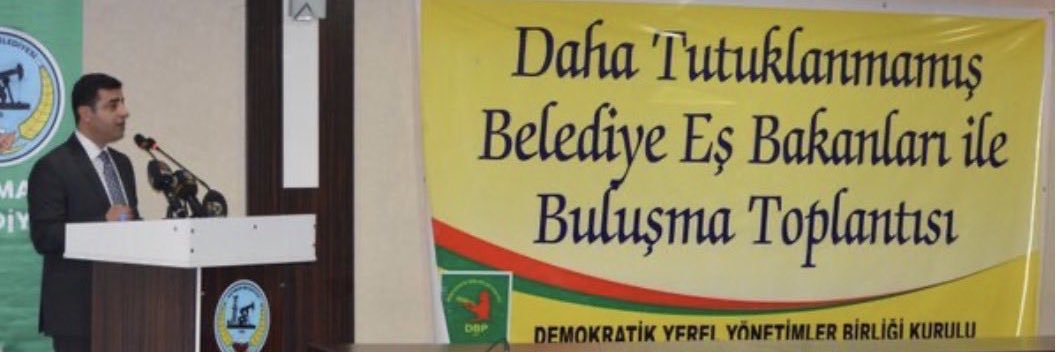 Seda Alcinar banner