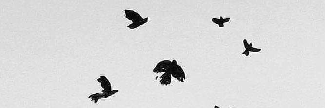 mnoor6622's profile banner image