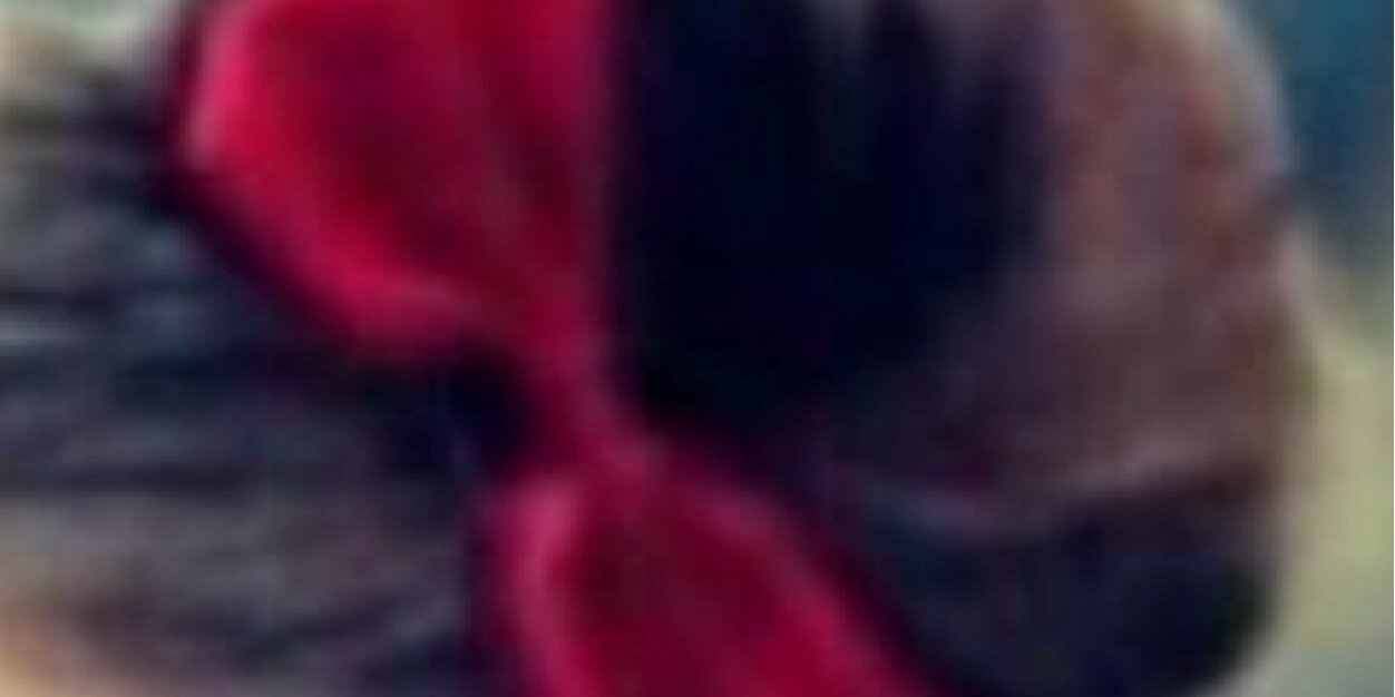 slam173's profile banner image