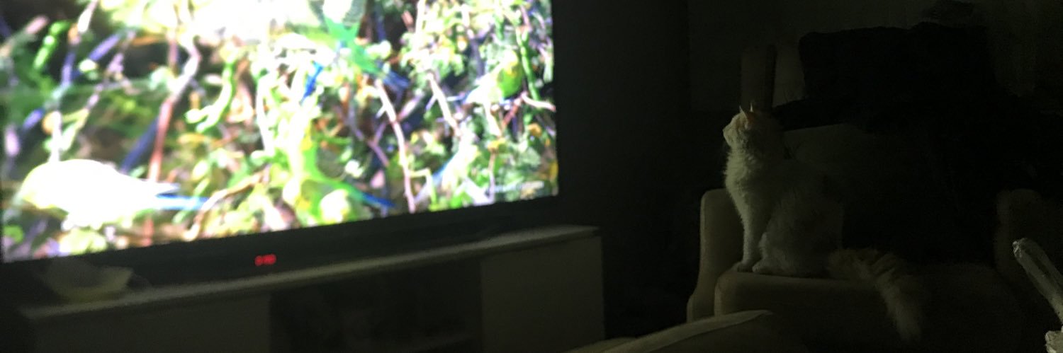 batuckr's profile banner image