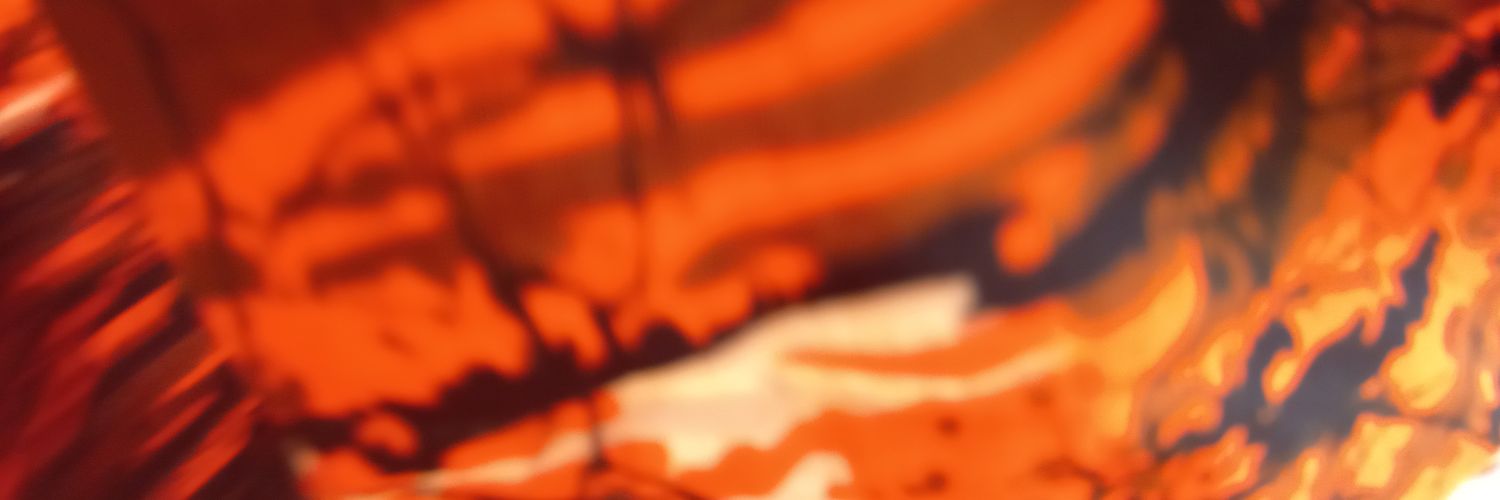 ritalori's profile banner image