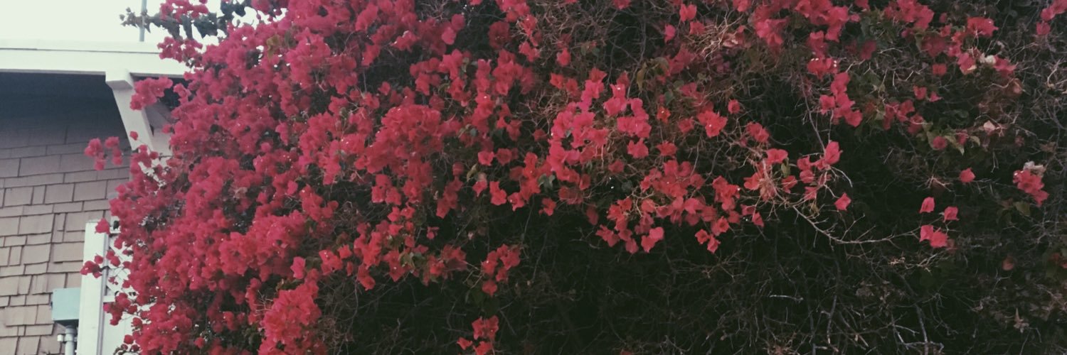 madsrockwell22's profile banner image