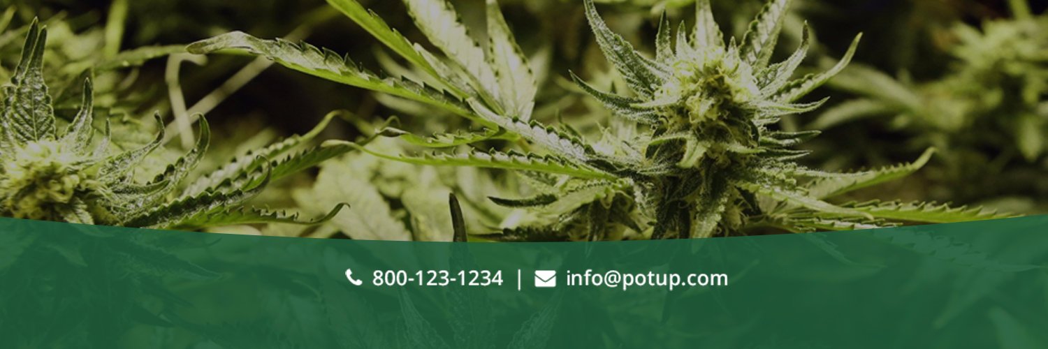 Potup_info's profile banner image