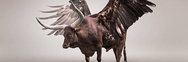 aBullwithWings banner