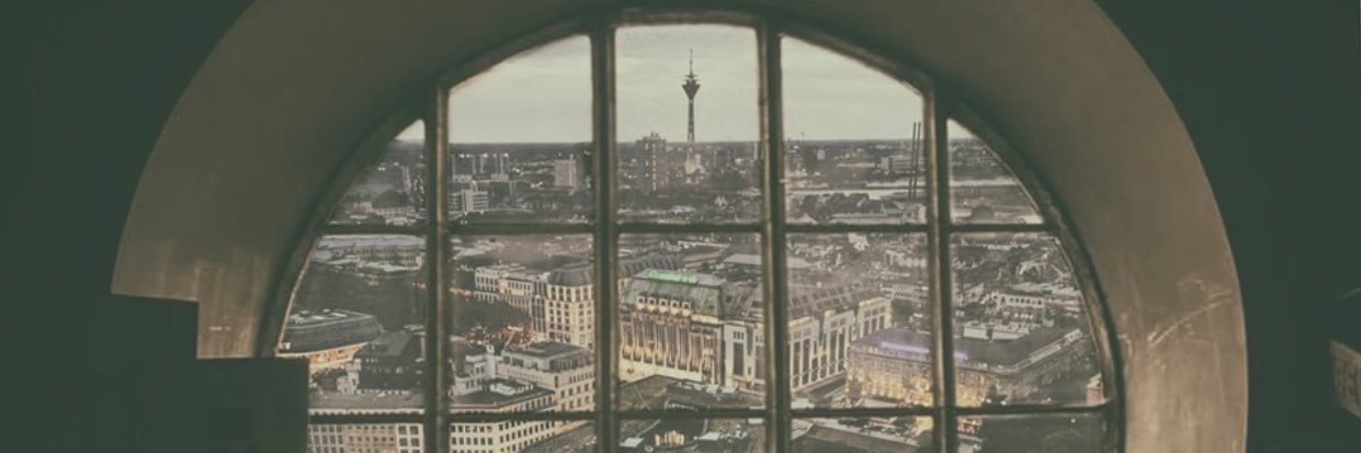 Peter Schildwächter 🇪🇺 banner