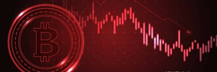 HappyGo_Go's profile banner image