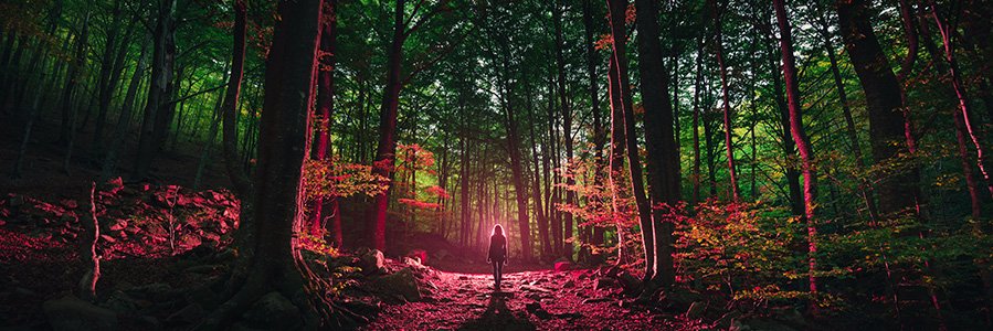 Serhan Özkaplan banner