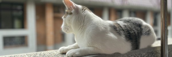 萌医少女✨ banner