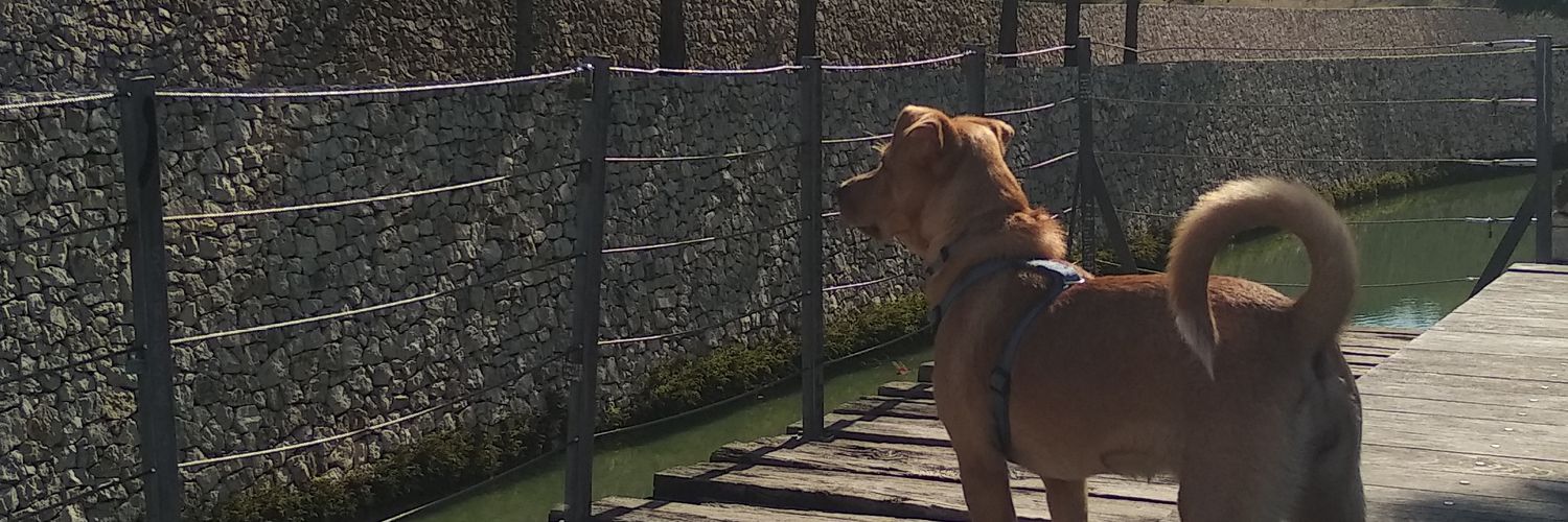 EduCH98's profile banner image
