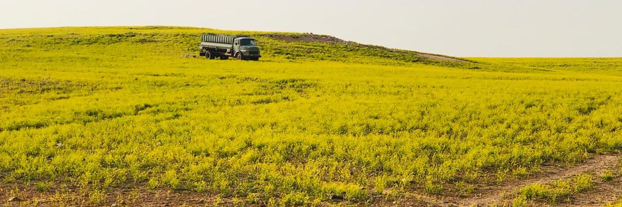 arar201126's profile banner image