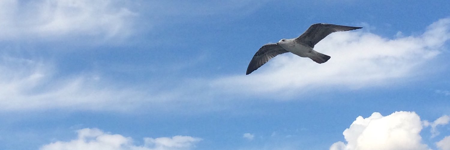 memoniac's profile banner image
