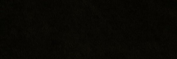 João Mendes banner