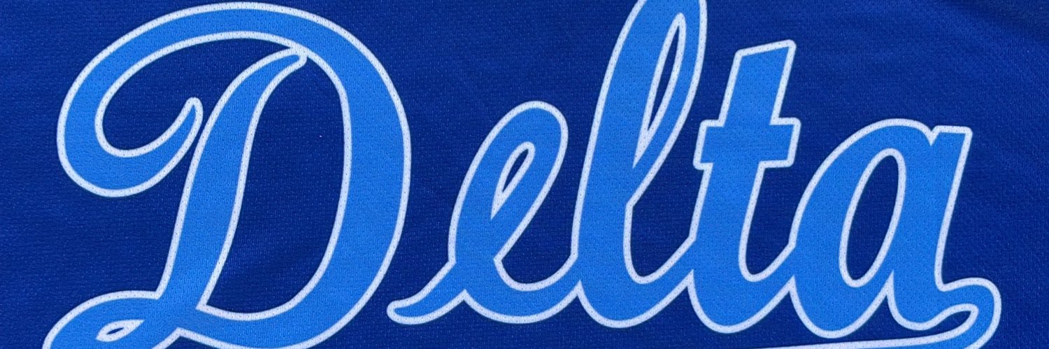 Delta Blue Jays's banner