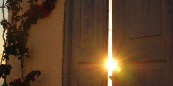 Sherif Nessim banner