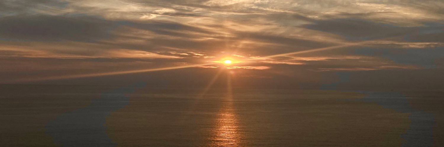 boyce_eimear's profile banner image
