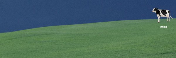 itsvksharma_ Profile Banner