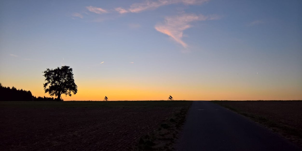 Grizze's profile banner image